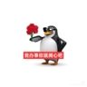 租房运营专员月薪8000+ 早九晚六 无加班