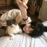 无经验小白也可赚高薪（包教+带薪+包吃住）