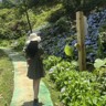 采购/贸易业务员
