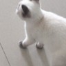 前台