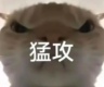 三角洲手游护航