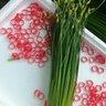 聊城冠县招建筑木工