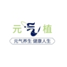 中医理疗师和学徒