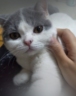 直播运营专员