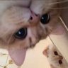 KTV营销员