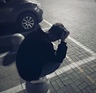 红河河口瑶族哈尼族彝族自治州自治县招铲车/装载机司机