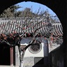 盘锦兴隆台区1.人事专员2名◦要求：20-30岁，有经验◦薪资：底薪5000+，供饭2.电