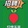 四小时兼职/(日结)