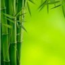 线上人事