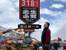 重庆九龙坡区会贴高分子的防水师傅