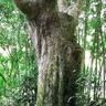 家具深化设计师