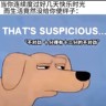 资料核查