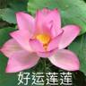 新媒体运营