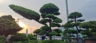 长期工人