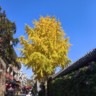 台州椒江区招徐工三十吨伸缩臂履带吊司机，包食宿工资九千，要求三年以上工作经验，熟悉设备性能，会保养维