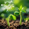 销售行政专员