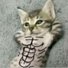 电话销售