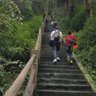 周口沈丘县我要招钢结构厂房工人,要求能吃苦耐劳,有敬业精神,工资是工程完结清。工资是日资300元一天,