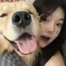 双休且高薪销售专员