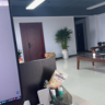 游戏搭子/游戏陪玩/游戏教练