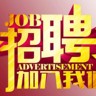 销售专员
