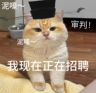 高薪大龄工月 6500+/做果酱/新厂新宿舍/轻松好上手