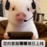 小车司机