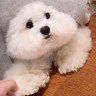 双休办公室保险客户维护专员