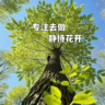 教育咨询师