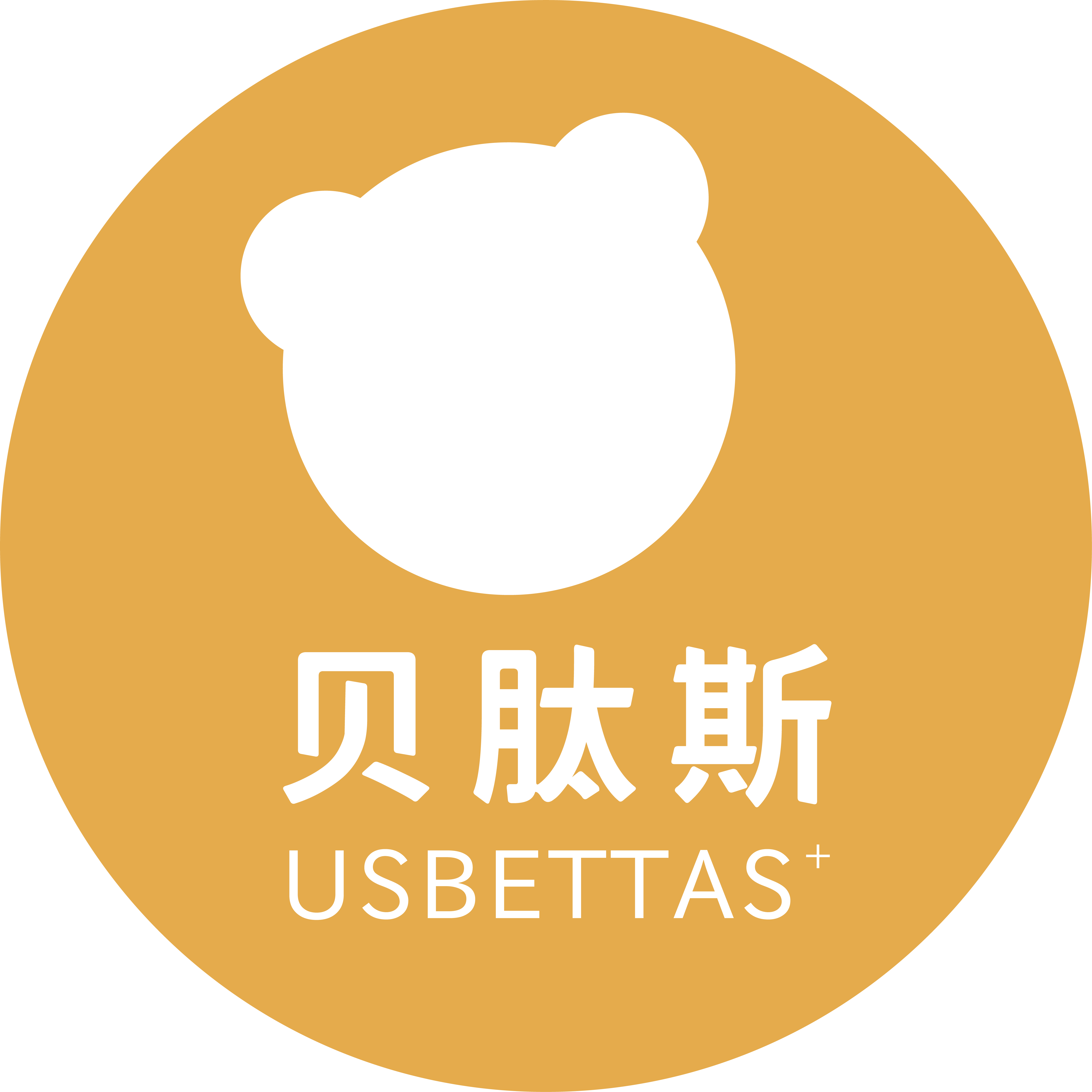 魚泡網(wǎng)