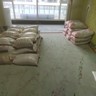 石家庄新华区招工地小工/杂工