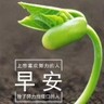 嘉兴南湖区招工地小工/杂工一人，配合师傅从事路牙石安装及人行道铺装的辅助工作，力气活，工作时间9小