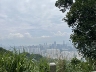 线上渠道运营管理