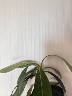 武汉江岸区艺术漆家装正当时，手艺人才缺口大。我公司艺术漆诚招学徒，教你专业配色，立体肌理，