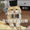 在家办公文员日结兼职双休可以半天