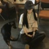 舞蹈助理