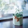 急招：冷藏车司机（牧原上市工厂货源专线，月收入15000以上）