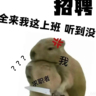 急招DD司机保底8000