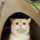 麦先生