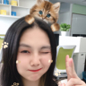 全屋清洁家电清洗家政工程师