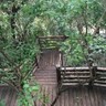 安装调试