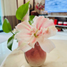 内参编辑，文案校对，政策分析