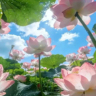 保安4000-4200