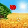 B2驾驶员