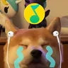 娱乐主播