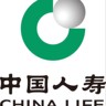 保险理赔专员