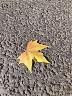 托育教师