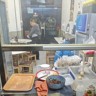 炒饭，炒面，盖浇饭厨师