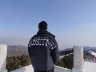 麻将主播