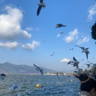 厦门·一对一家教（线上线下均可）